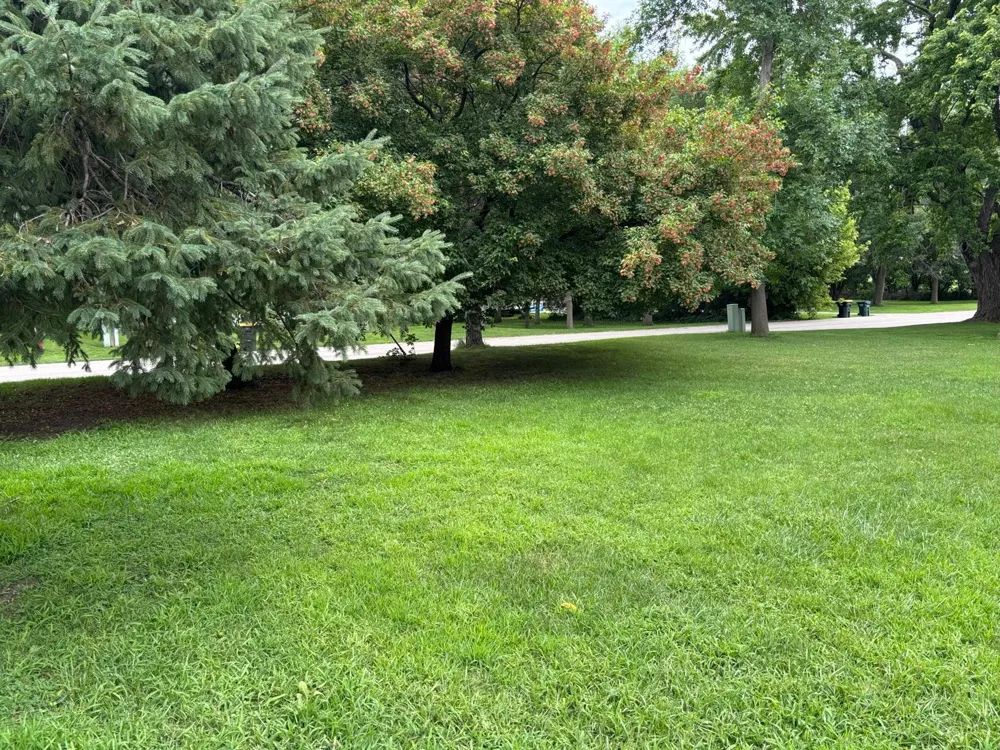 601 Harrison Avenue Sacred Heart, MN 56285