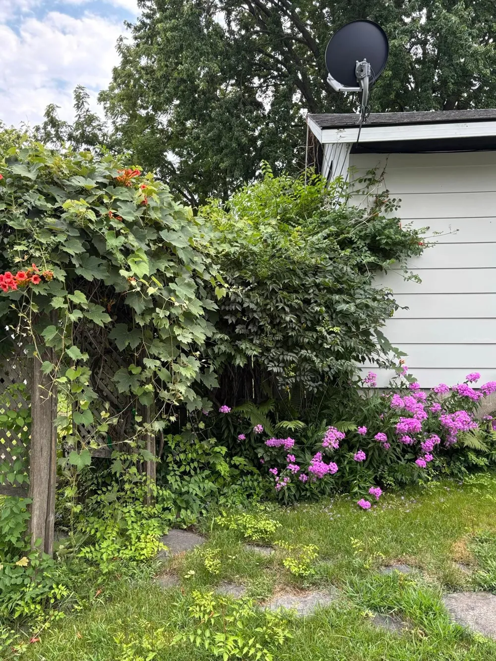601 Harrison Avenue Sacred Heart, MN 56285