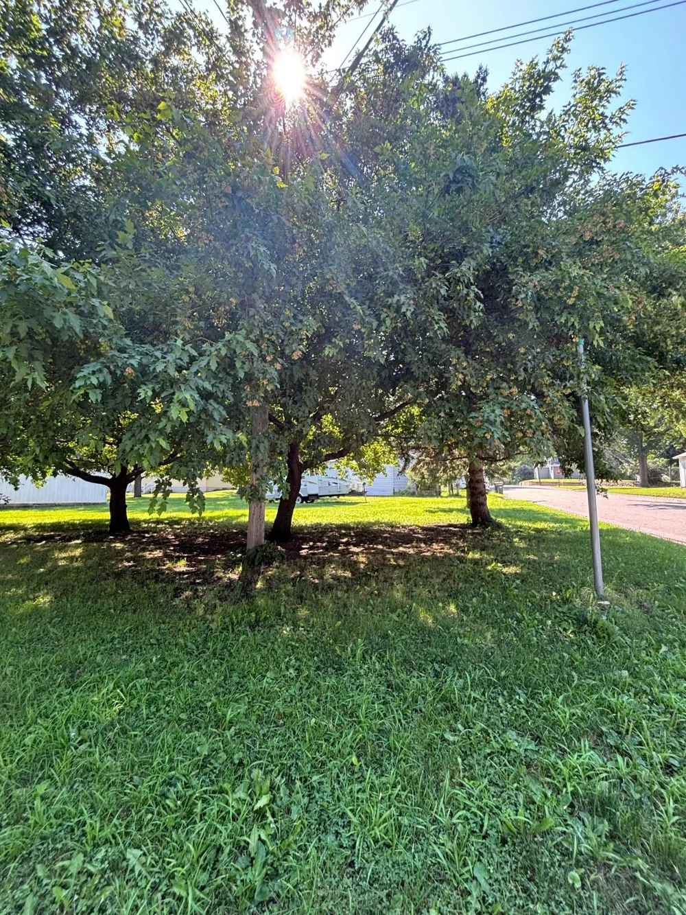 601 Harrison Avenue Sacred Heart, MN 56285
