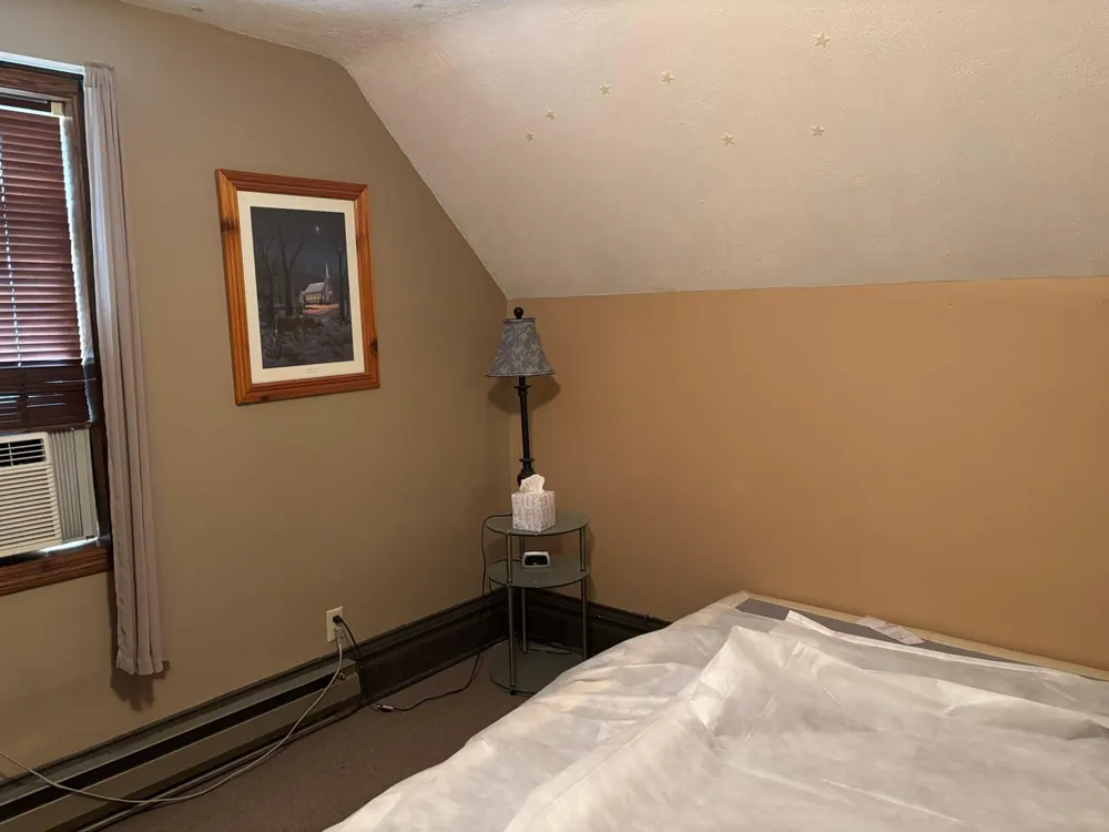 601 Harrison Avenue Sacred Heart, MN 56285