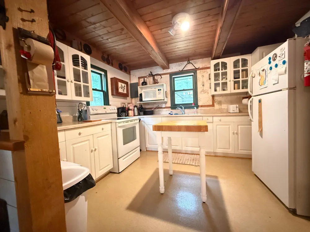 41622 Turtle Lake View Trail Bigfork, MN 56628