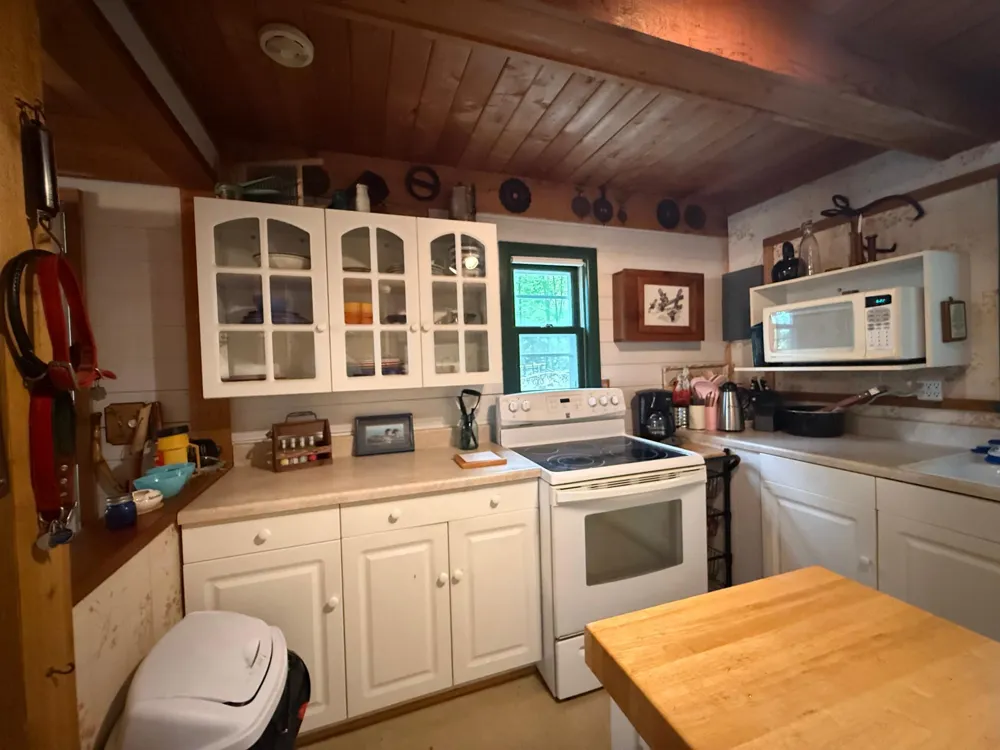 41622 Turtle Lake View Trail Bigfork, MN 56628