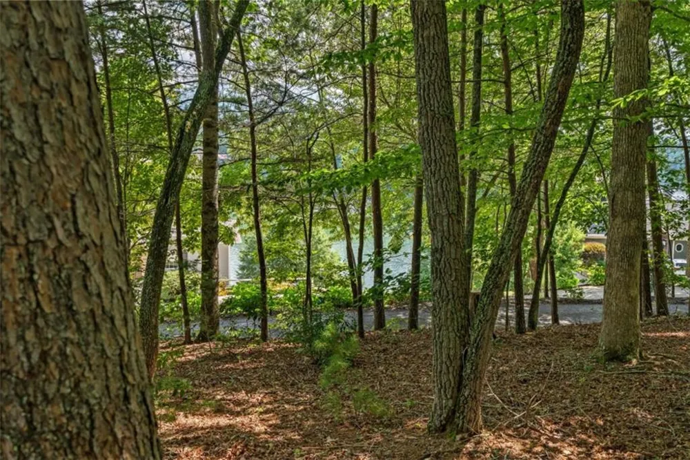 169 Windjammer Spur Hiawassee, GA 30546
