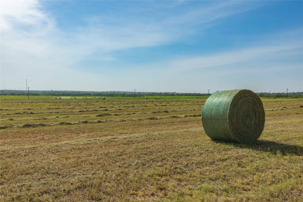 244 S County Road 221 Snyder, TX 79549
