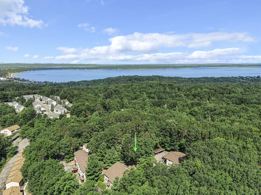 3955 Emily Lane East Bay Township, MI 49686