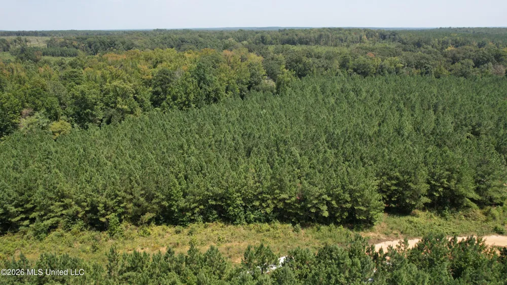 Cr 2132 McCool, MS 39108