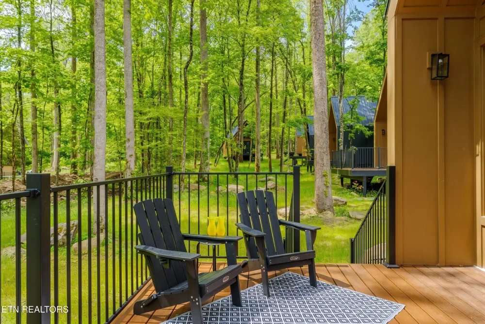 204228 Braydens Way Gatlinburg, TN 37738