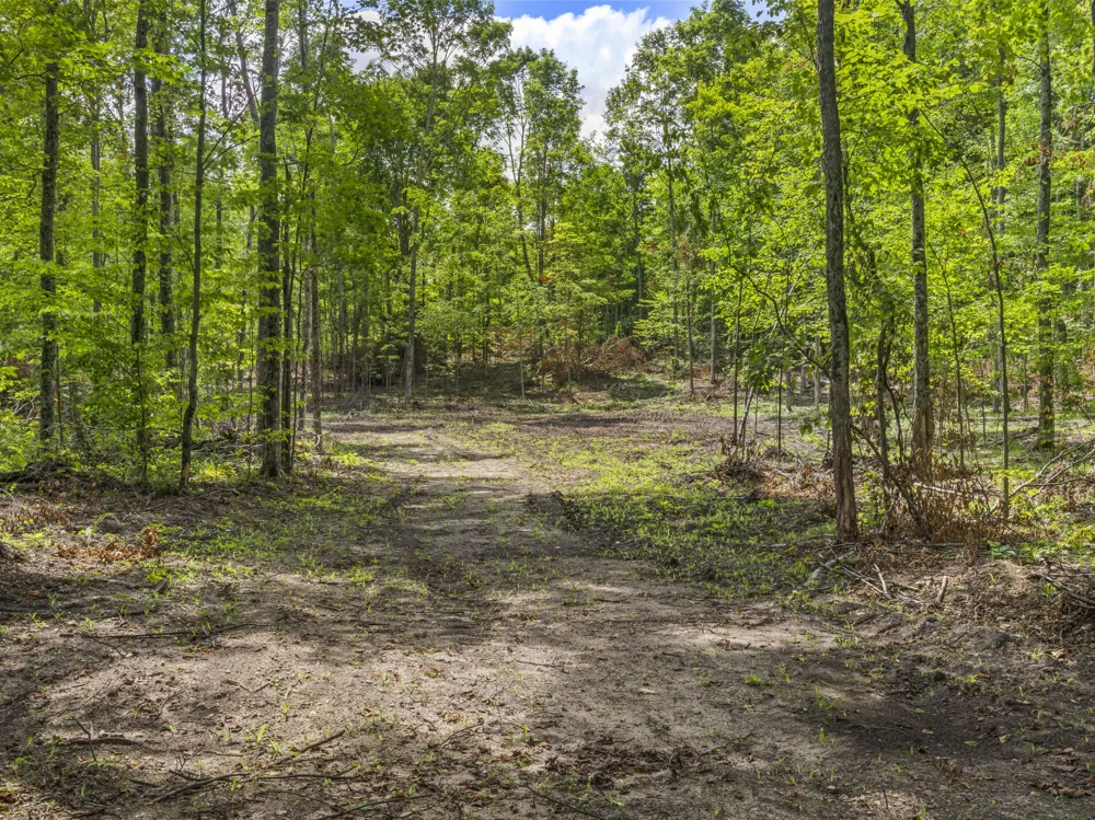 Valencourt Road Copemish, MI 49625