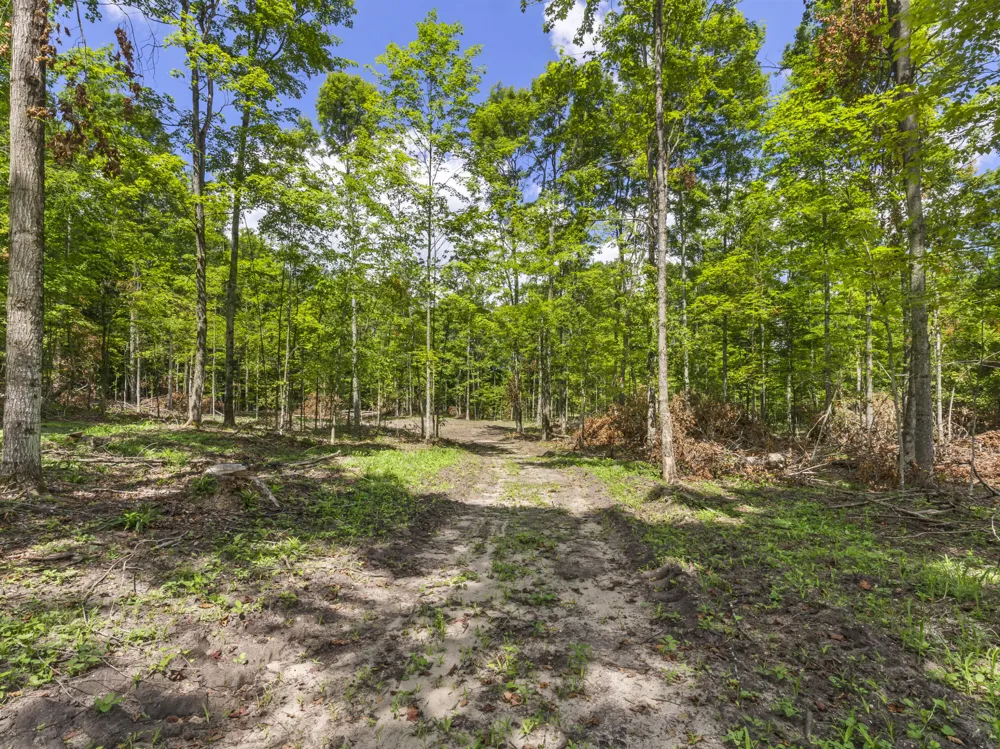 Valencourt Road Copemish, MI 49625