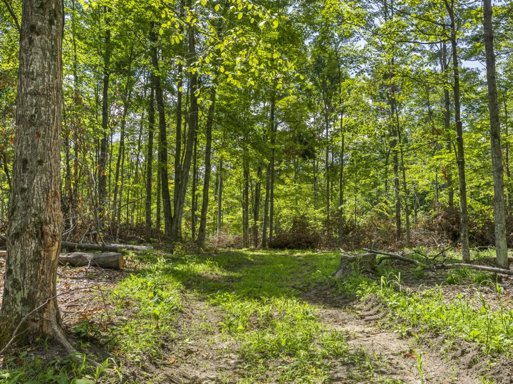 Valencourt Road Copemish, MI 49625