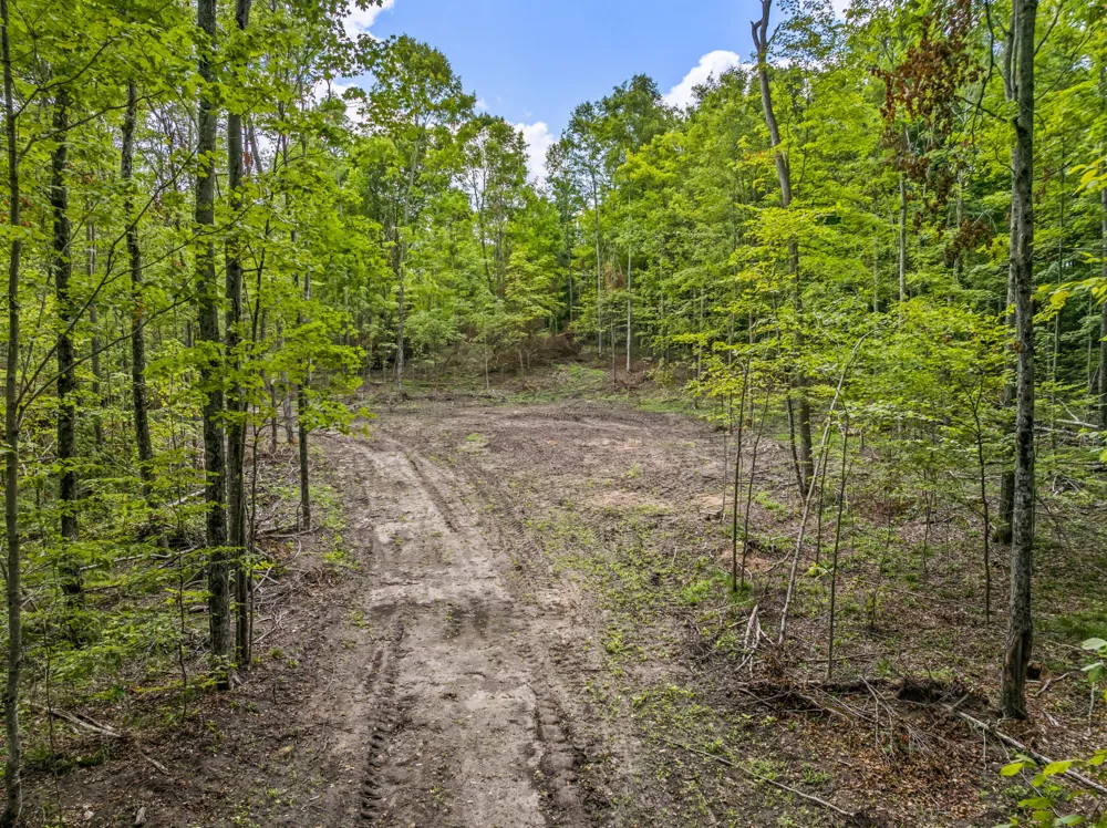 Valencourt Road Copemish, MI 49625