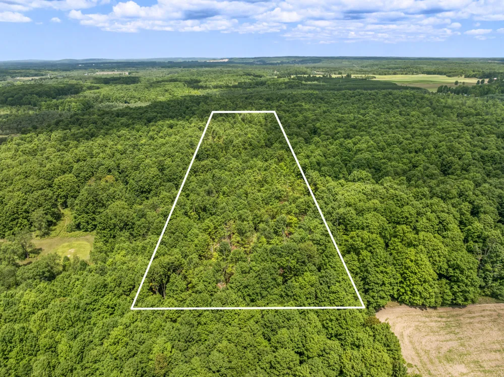 Valencourt Road Copemish, MI 49625