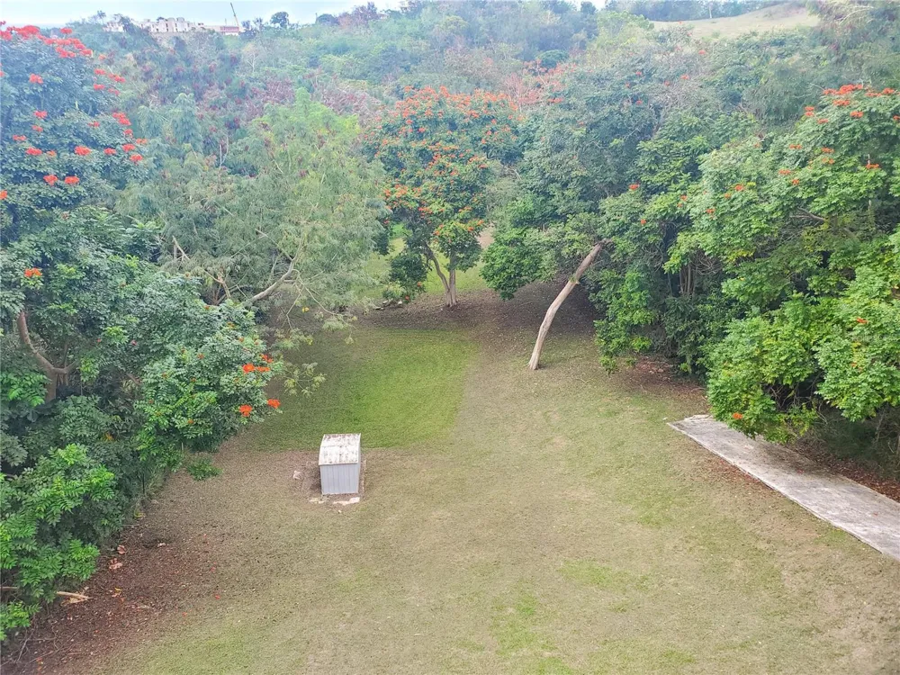Carr. 115 SECTOR SOTO ROAD Rincon, PR 00677