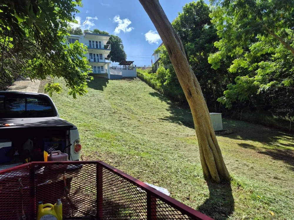 Carr. 115 SECTOR SOTO ROAD Rincon, PR 00677