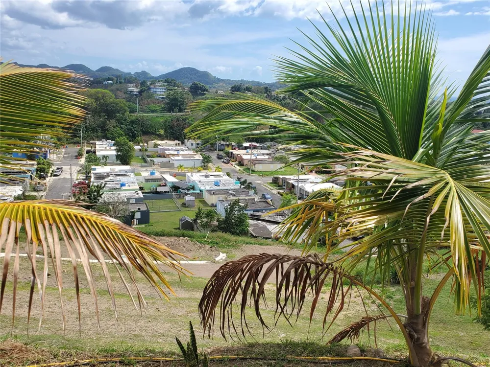 Carr. 115 SECTOR SOTO ROAD Rincon, PR 00677