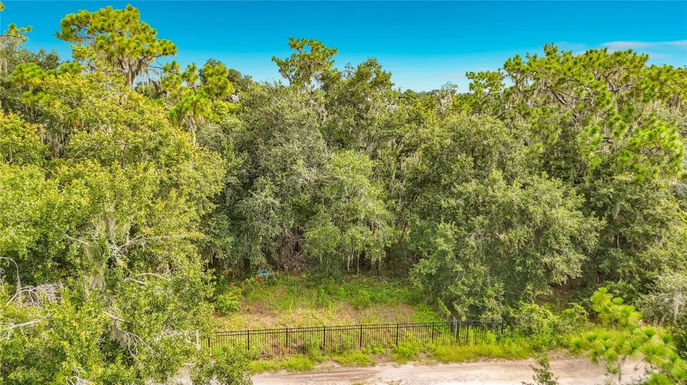 10623 LITHIA ESTATES DRIVE Lithia, FL 33547