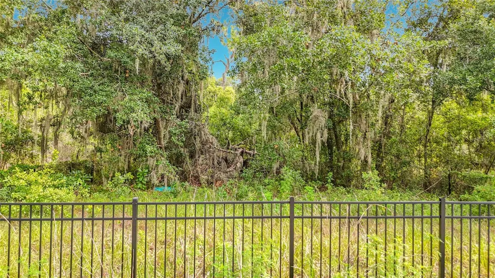 10623 LITHIA ESTATES DRIVE Lithia, FL 33547