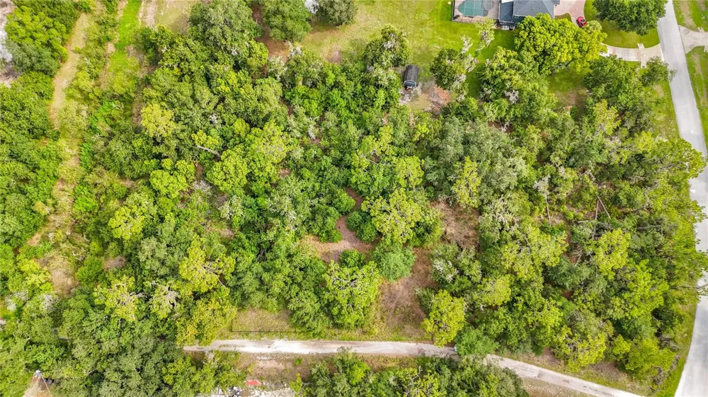 10623 LITHIA ESTATES DRIVE Lithia, FL 33547