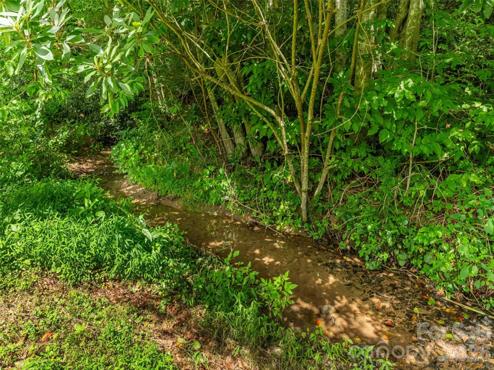 107 Tibi Lane Waynesville, NC 28785