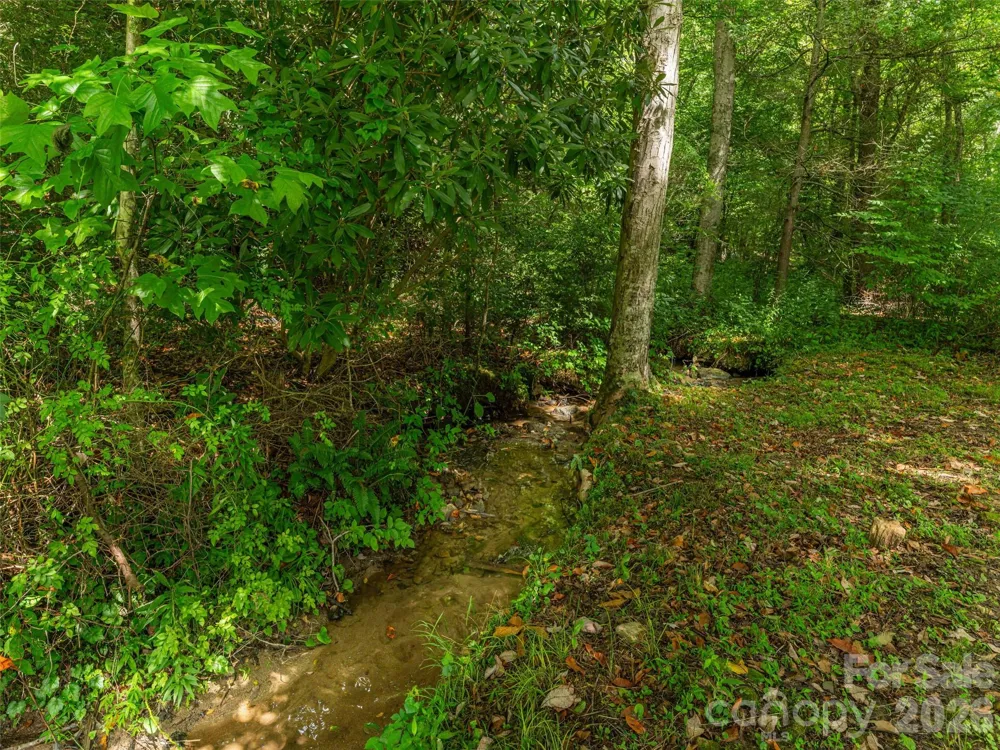 107 Tibi Lane Waynesville, NC 28785