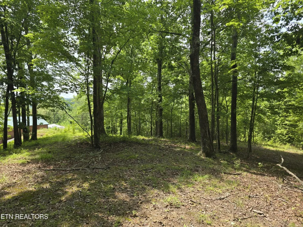 22 Twin Feathers Dr Rockwood, TN 37854