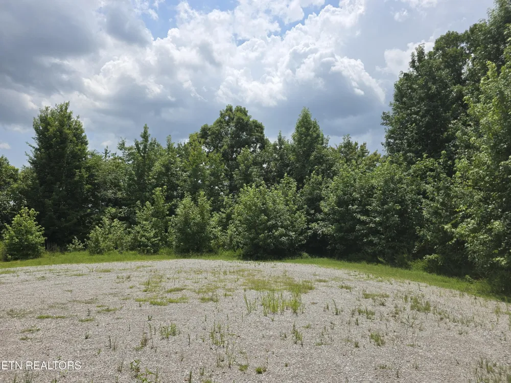 22 Twin Feathers Dr Rockwood, TN 37854