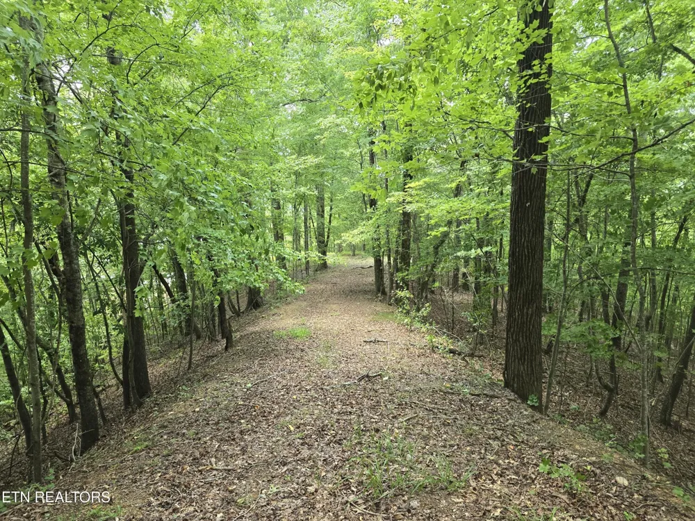 22 Twin Feathers Dr Rockwood, TN 37854