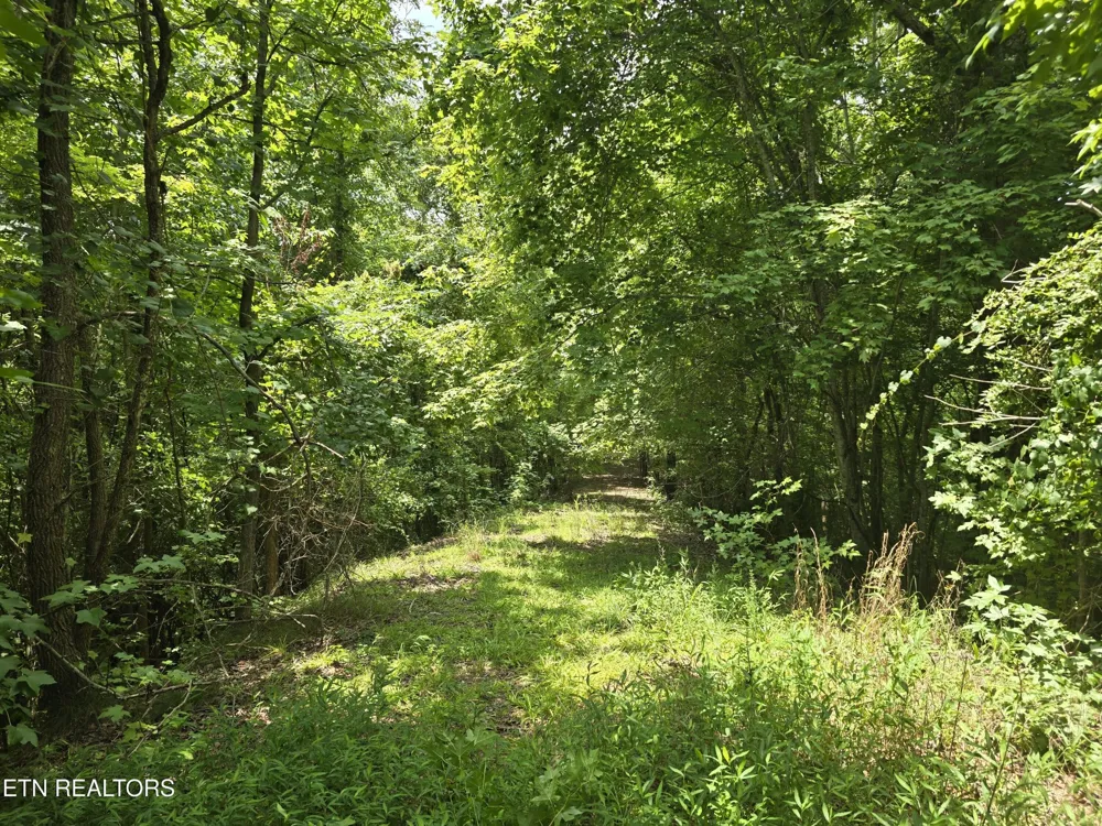 22 Twin Feathers Dr Rockwood, TN 37854