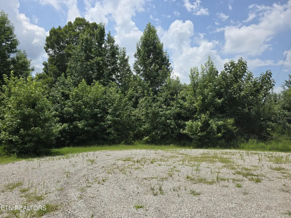 22 Twin Feathers Dr Rockwood, TN 37854