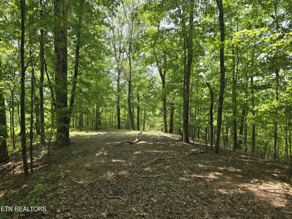22 Twin Feathers Dr Rockwood, TN 37854