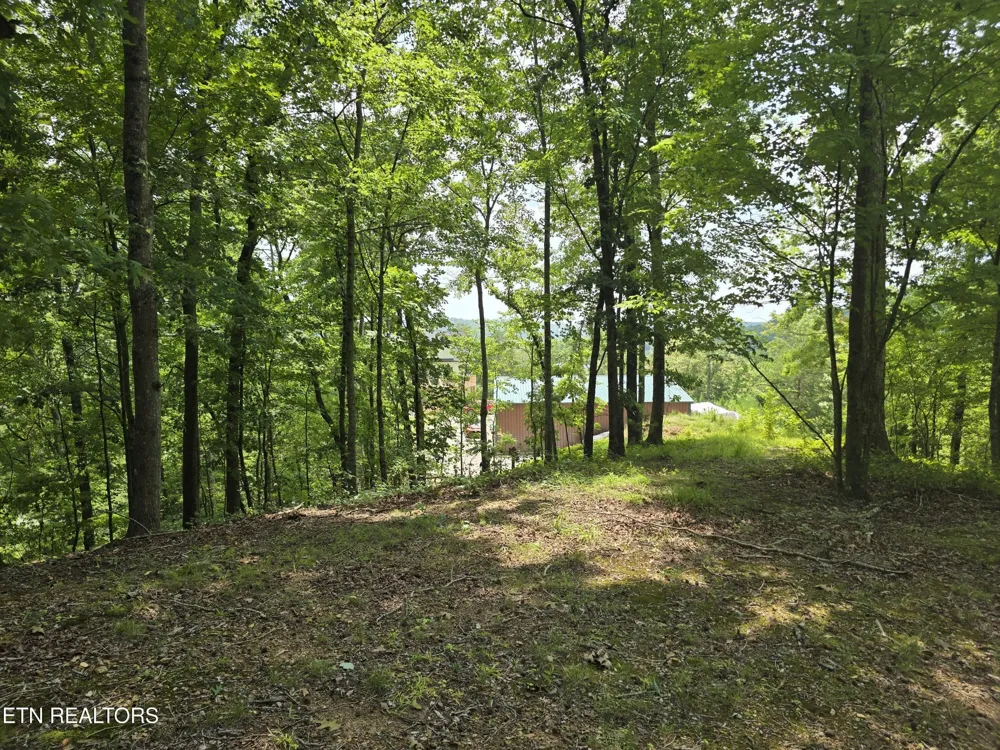 22 Twin Feathers Dr Rockwood, TN 37854
