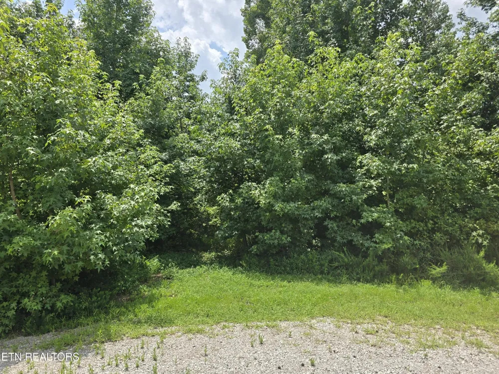 22 Twin Feathers Dr Rockwood, TN 37854