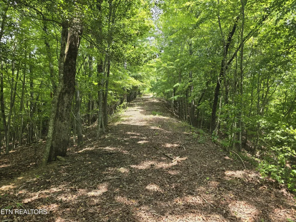 22 Twin Feathers Dr Rockwood, TN 37854