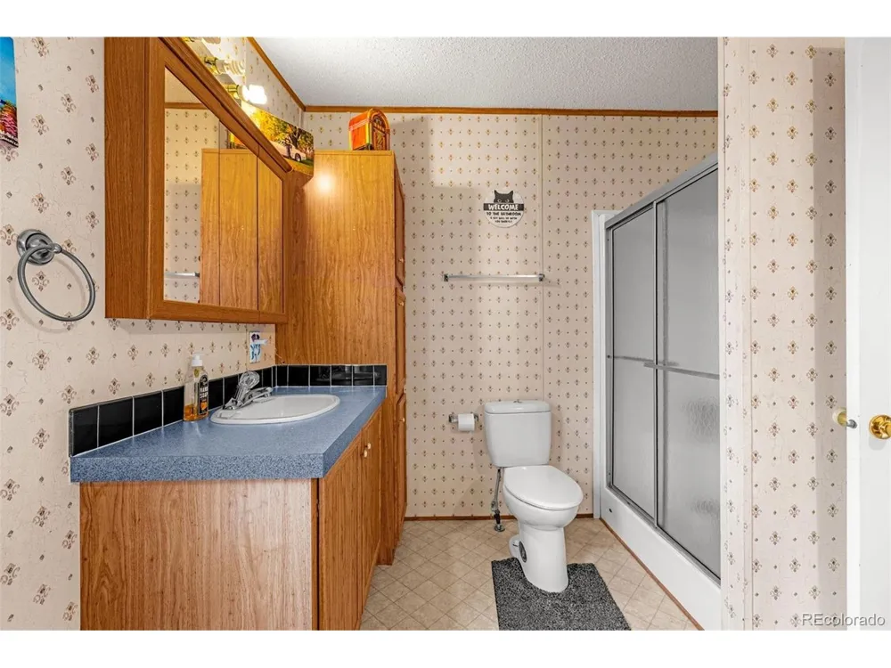 213 S 1st Street Victor, CO 80860
