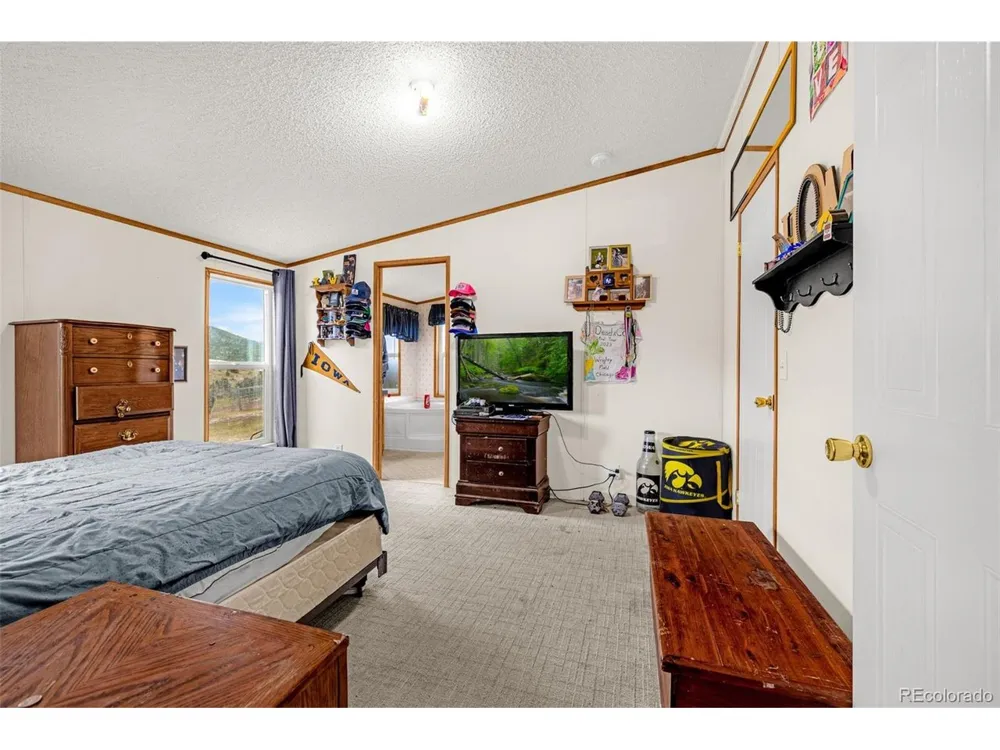 213 S 1st Street Victor, CO 80860