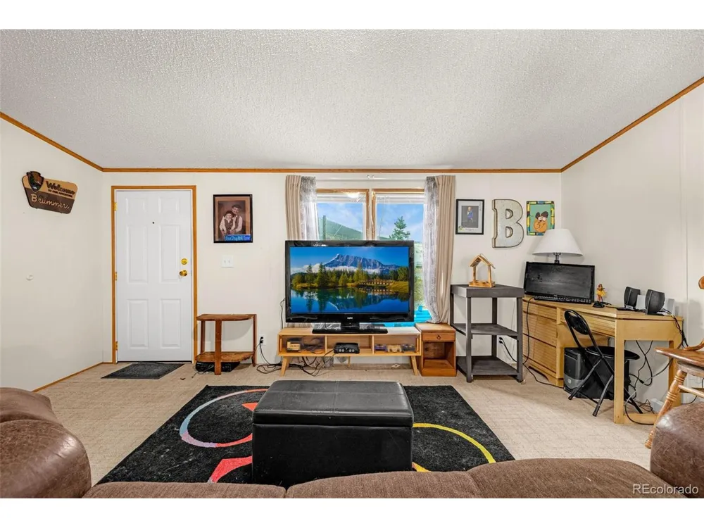 213 S 1st Street Victor, CO 80860