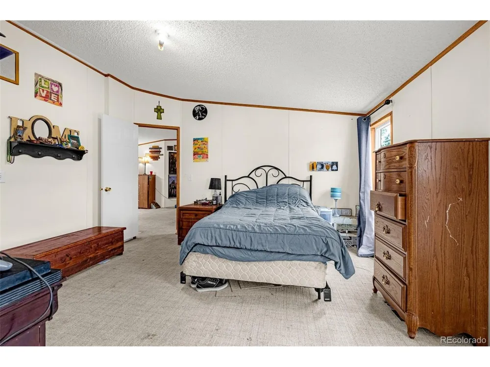 213 S 1st Street Victor, CO 80860