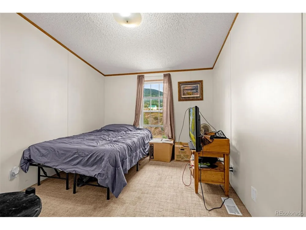 213 S 1st Street Victor, CO 80860