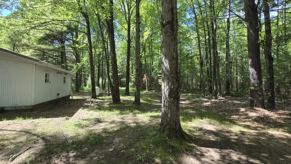 14690 W Pine Lake Road Wellston, MI 49689