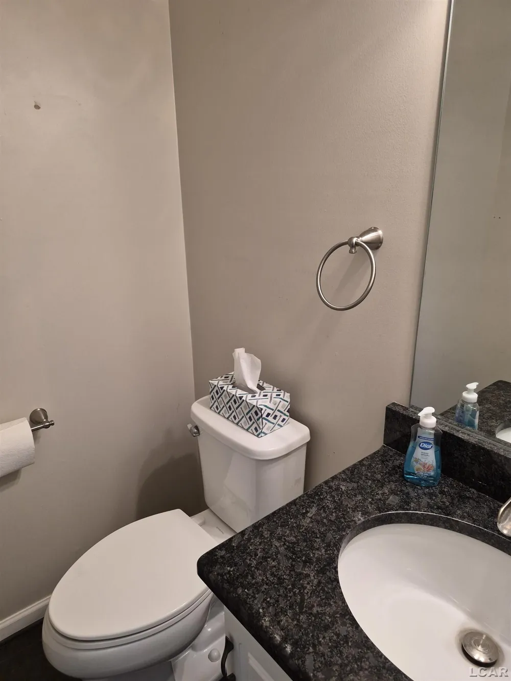 1303 Riversedge Dr Drive Saline Township, MI 48176