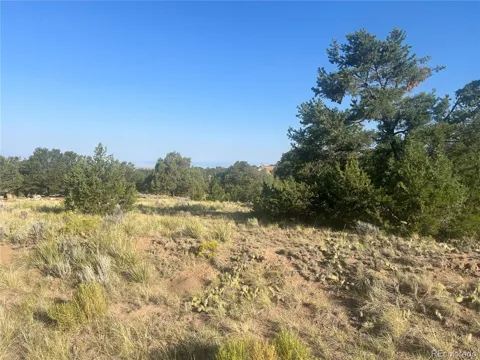4292 Fallen Tree Overlook