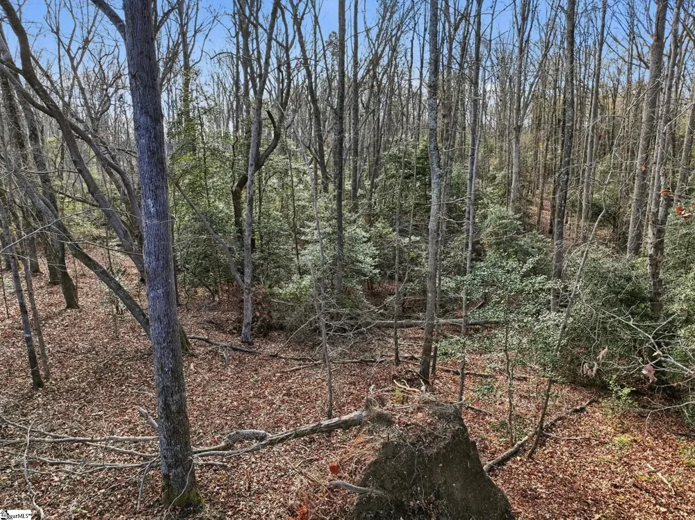 1111 Fork Shoals Road Greenville, SC 29605