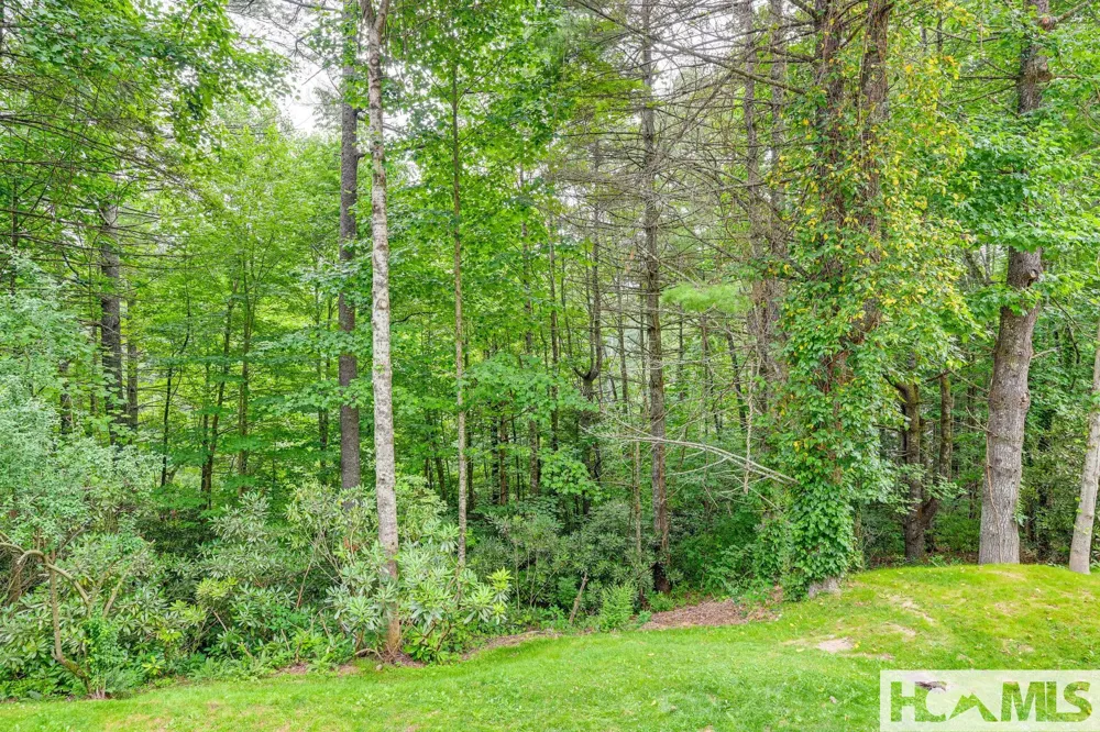 407 Overlook Road #2C Sapphire, NC 28774