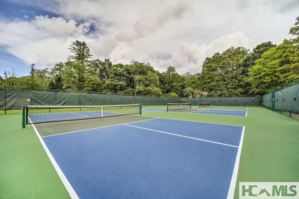 407 Overlook Road #2C Sapphire, NC 28774