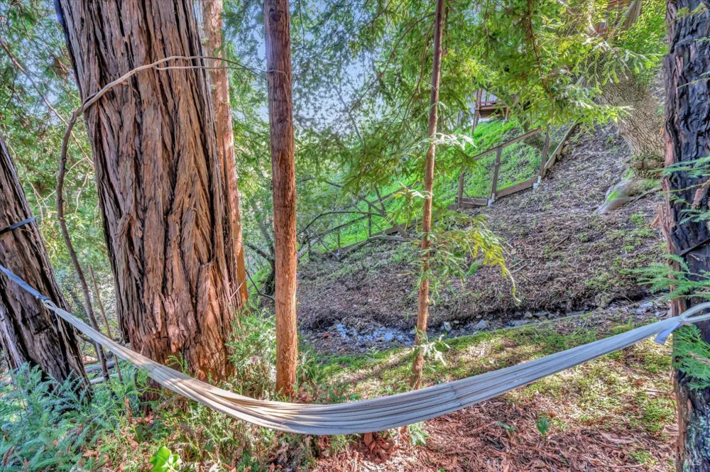 223 Scenic Road Fairfax, CA 94930