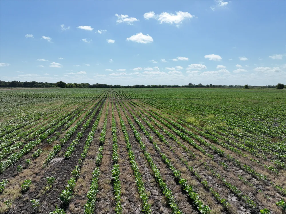 County Road 26850 Petty, TX 75470