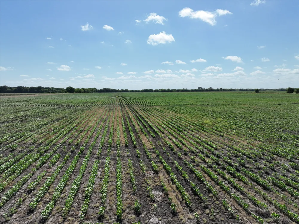 County Road 26850 Petty, TX 75470