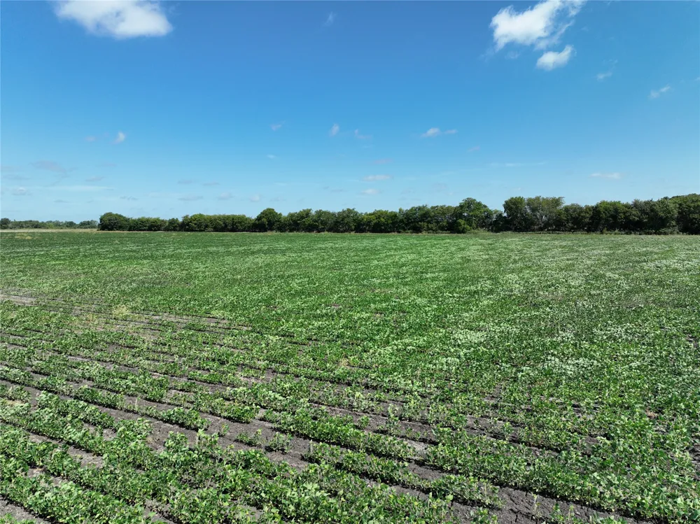County Road 26850 Petty, TX 75470