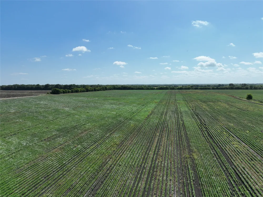 County Road 26850 Petty, TX 75470
