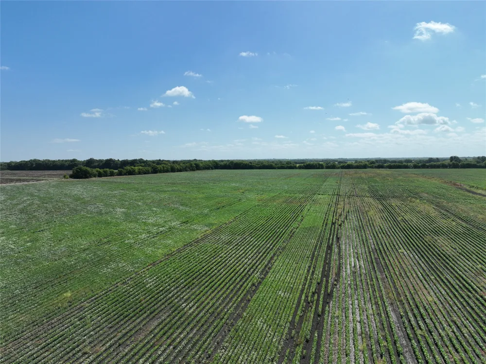 County Road 26850 Petty, TX 75470